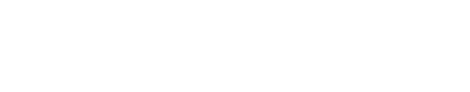 Elektromic